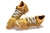 Chuteira Campo Puma Future - Bacuralsports04
