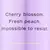 Body Lotion (hidratante corporal) Love Spell Victoria's Secret - comprar online