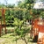 MANGRULLOS TOBOGANES - comprar online