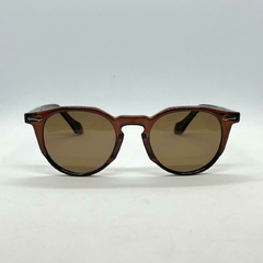 Óculos de Sol Ipanema Polarizado Lion - Marrom 12523990 - comprar online