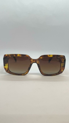 Óculos de Sol Lion Calhau Polarizado - Tartaruga 47618990 - comprar online