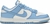 Dunk Low “Coast”