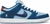 Why So Sad? x Dunk Low SB “The Predatory Bird”
