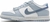 Dunk Low Next Nature “Blue Whisper Lenticular” - Luxx Good