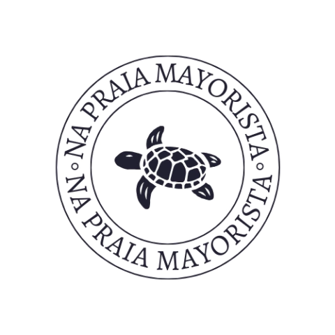 NP mayorista