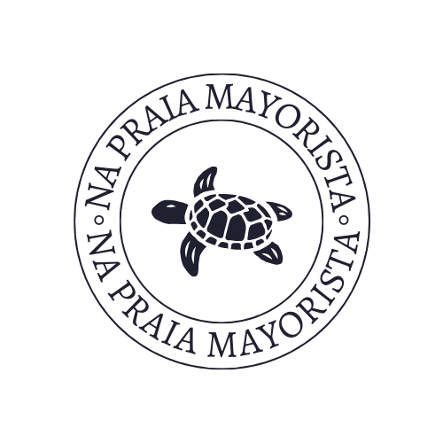 NP mayorista