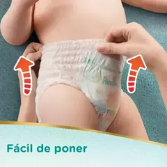 Pampers Pants G-XG-XXG - tienda online