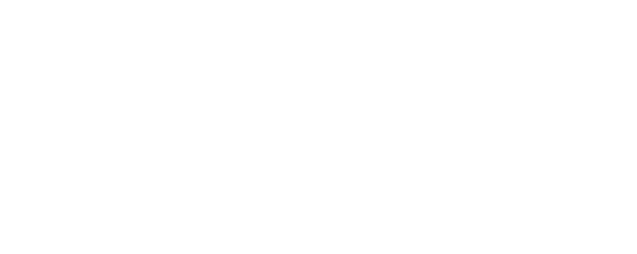 virtual shop
