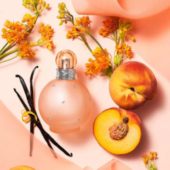 PERFUME BRITNEY SPEARS FANTASY NAKED FEMININO EAU DE TOILETTE - Cesar Perfumaria