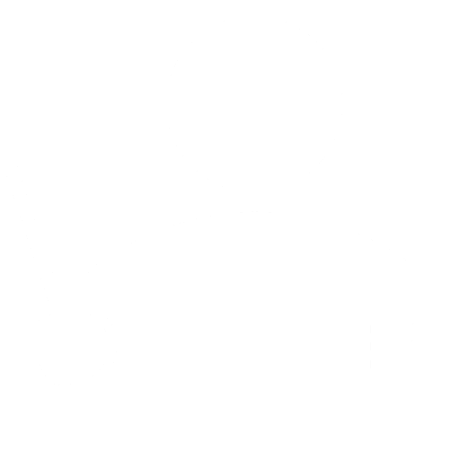 Professor