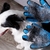 Luva Magica Massageadora Tira Pelos Cães E Gatos Silicone - 12digitos