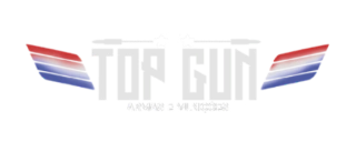 TOPGUN ARMAS