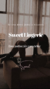 Banner de sweet Lingerie 