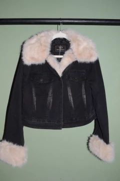 Campera Imited