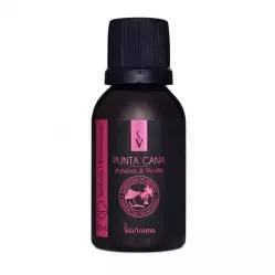 Essência Hidrossolúvel PUNTA CANA Linha Mundo Via Aroma - 30ml