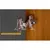 AT - 3647-6 KIT 6P 2G NESHER LOFT IMPERATRIZ 500328 - loja online