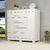 S - 043163 - Cômoda Alissa, com Sapateira, 5 gavetas, estrutura em 100% MDF - ACP