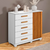 S - 452027 - Cômoda Paris 5 Gavetas com 1 Porta - Benetil