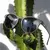 ÓCULOS DE SOL POLARIZADO UV400 TOTAL BLACK 2.0 - comprar online