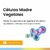 Imagen de Question - Nutriv Cell Mascara con Celulas Madres Vegetales y Manteca de Karite (330ml)