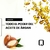 Question - Lumiere oleo Tratamiento Capilar con Aceite de Argan (75ml) - comprar online