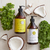 Primont - Bio Balance Shampoo Kale y Coco para Cabellos Secos y Finos (500ml) en internet