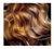 Fidelite - Reinvention Shampoo Corrector Para Neutralizar Rubios (900ml)