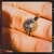Anillos Sol y Luna - comprar online