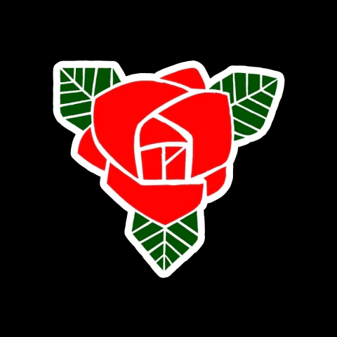Maiden Rose