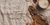 Imagem do banner rotativo VALF - Moda Feminina