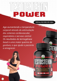 Banner da categoria Testosterona