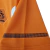 Camisa Holanda Retrô 2010 Laranja - Nike en internet