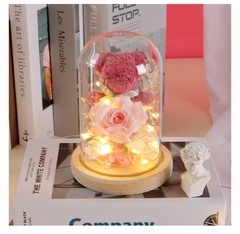 Urso em Cúpula de Vidro - Smart Living Store