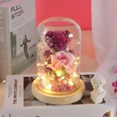 Urso em Cúpula de Vidro - Smart Living Store