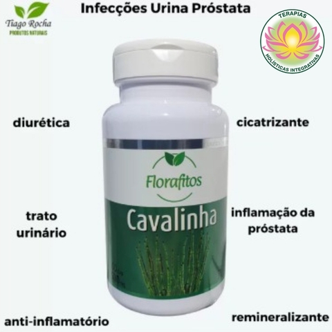 Cavalinha Infecções Urina Próstata