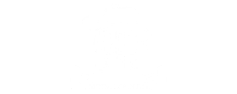 BOTINAS AROCO RIBEIRO