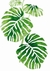 Ilustración de Planta