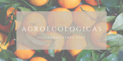 Banner de la categoría Productos