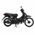 SIAM 110CC BASE | QU110RT