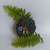 Floresta encantada 1