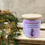 APHRODÍTĒ- Coleção The Goddsses - comprar online