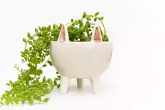 BOWL CERÁMICA PATITAS - Almacén de Ensueños