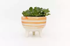 BOWL CERÁMICA PATITAS - comprar online