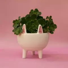 BOWL CERÁMICA PATITAS en internet