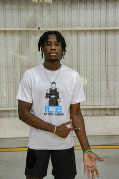 Camiseta Ice In My Veins