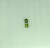 GYK79 - Turmalina Verde - Custion - T. 6.0mm - Real Gemas Oficial