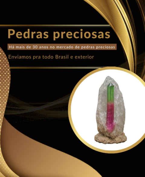 Carrossel 1