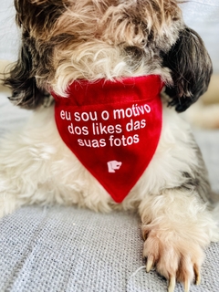 Bandana Pet - eu sou o motivo dos likes na internet