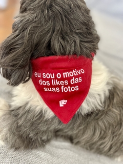 Bandana Pet - eu sou o motivo dos likes