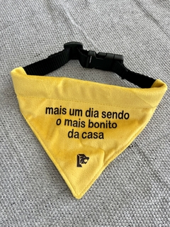 Bandana Pet - mais um dia sendo o mais bonito da casa